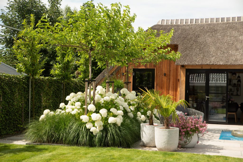 Liset de Wildt Fotografie Hoveniersbedrijf Westerkwartier tuin